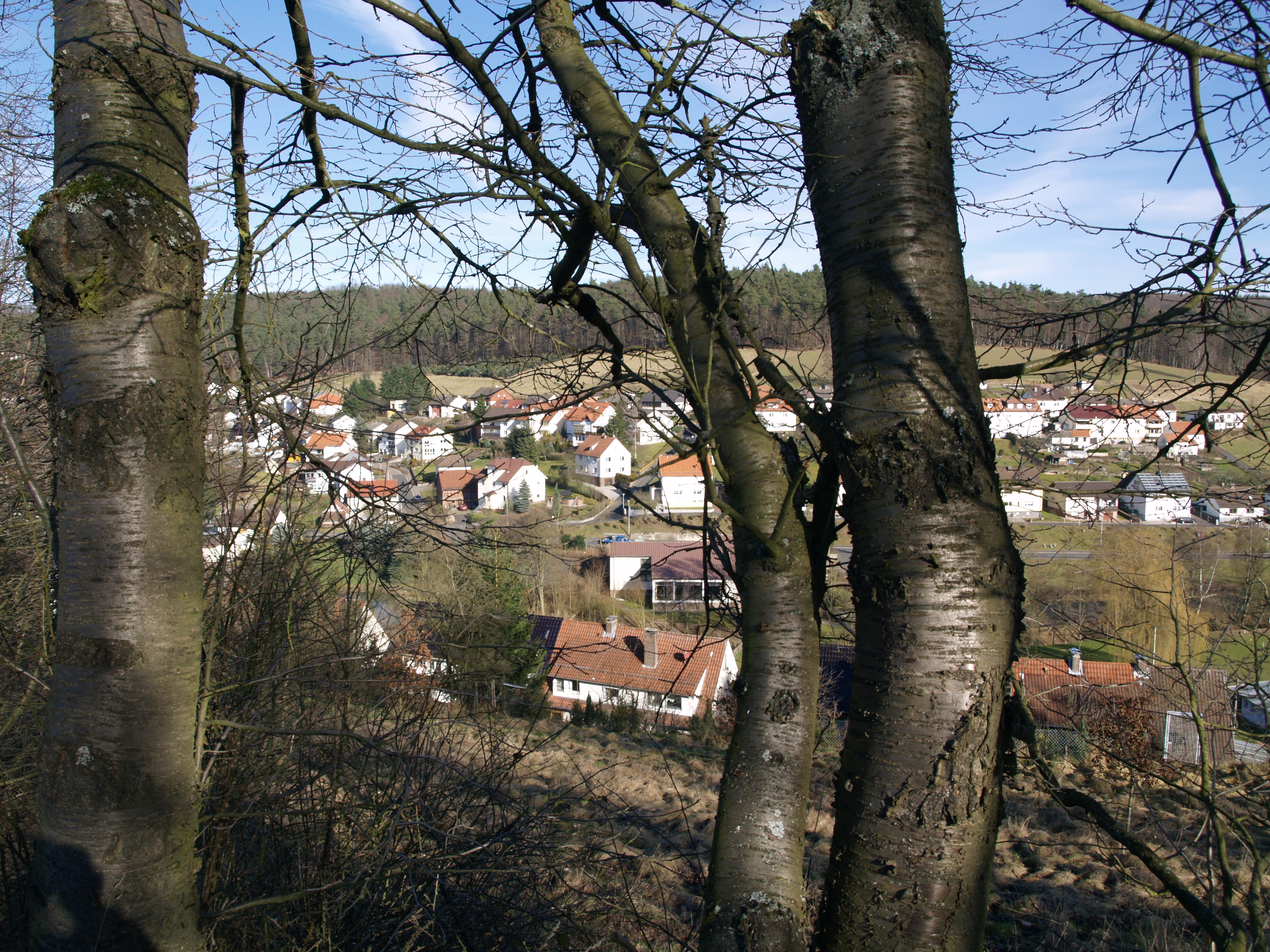 20080211_05