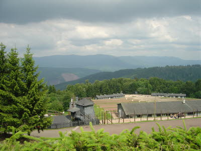 DSC02640