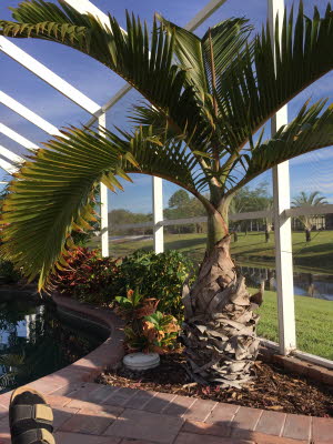 florida 2015 017