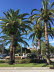 florida 2015 028